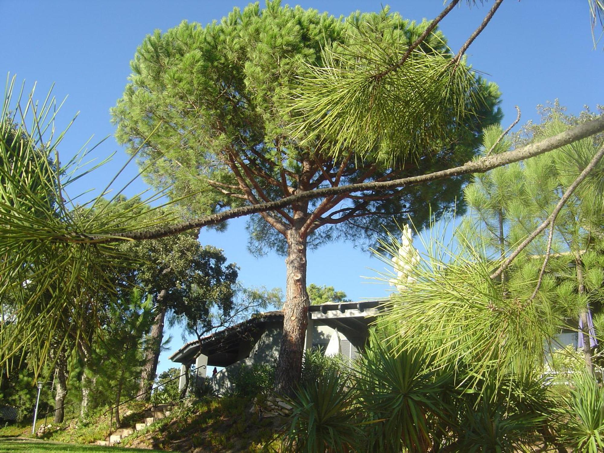 Residence Blue Marine Porto-Vecchio  Buitenkant foto